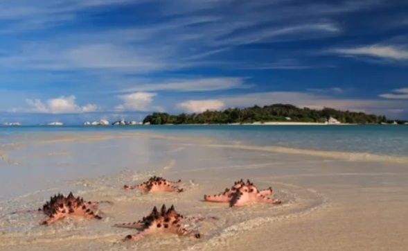 Yuk Jelajahi Pulau Pasir di Belitung, Muncul saat Air Laut Surut 