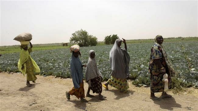 10 Petani Tewas Dibunuh Geng Bandit di Nigeria