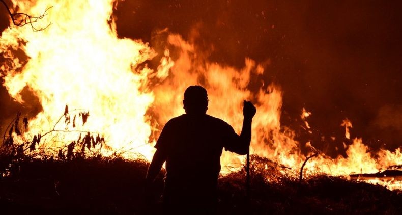 Karhutla di Beberapa Titik, Waspadai 5 Penyakit Ini