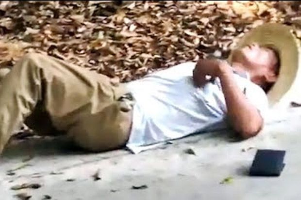 Asyik Berpose, Pria China Malah Tewas Digigit King Kobra