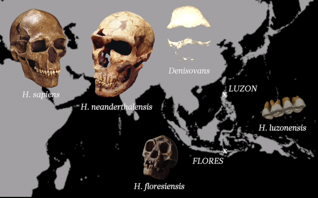 Homo Luzonensis, Spesies Manusia Purba Baru yang Ditemukan di Filipina