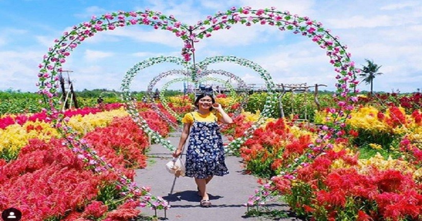 Wisata Yogya, Taman Bunga Matahari Pantai Samas Jadi Spot Instagenik