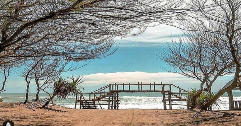 Tak Kalah Indah dari Parangtritis, Bantul Miliki Pantai Gua Cemara yang Eksotis