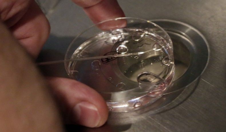 Lagi Tren, Pasutri di China Incar Sel Telur Mahasiswi Kampus Ternama