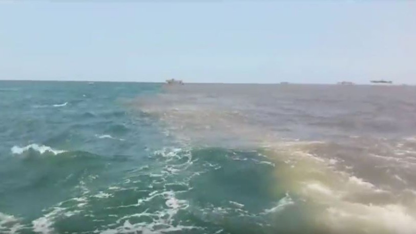 Heboh Fenomena Laut Terbelah Jadi 2 Warna dari Pasuruan hingga Sidoarjo