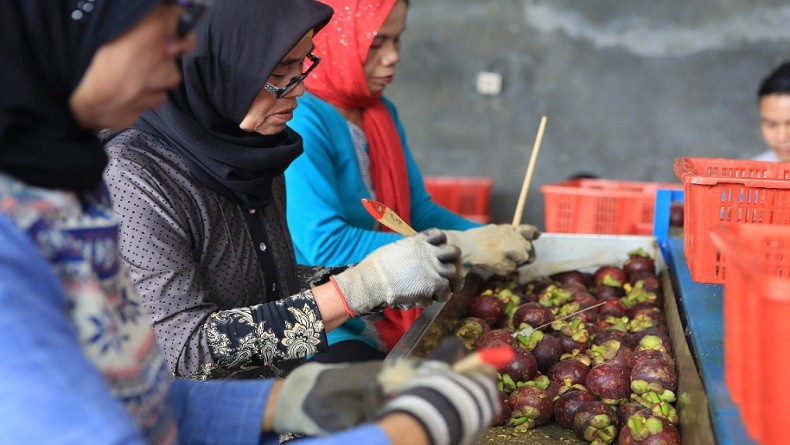 Kisah Sukses, Berawal dari Idealisme Kini Ekspor 450 Ton Buah ke 17 Negara