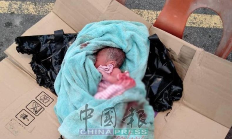 Anjing Selamatkan Bayi yang Dibuang Hidup-Hidup di Tempat Sampah