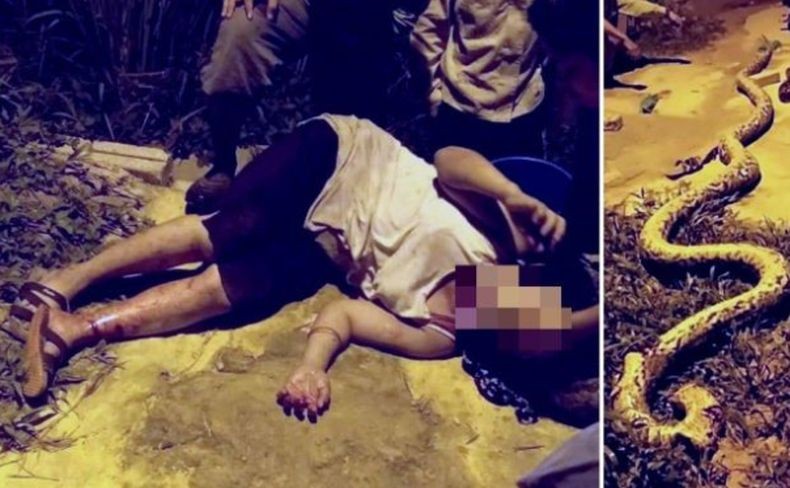 Dramatis, Perempuan Ini Diselamatkan dari Lilitan Ular Piton oleh Warga