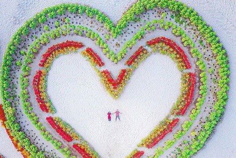 Keseruan Wisata di Gumuk Pasir Yogyakarta, Yuk Selfie di Taman Love 1.000 Bunga