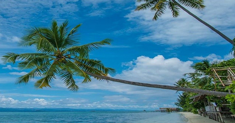 Menyelam di Pulau Kri Raja Ampat, Siap-Siap Dikepung Ikan Berwarna-warni