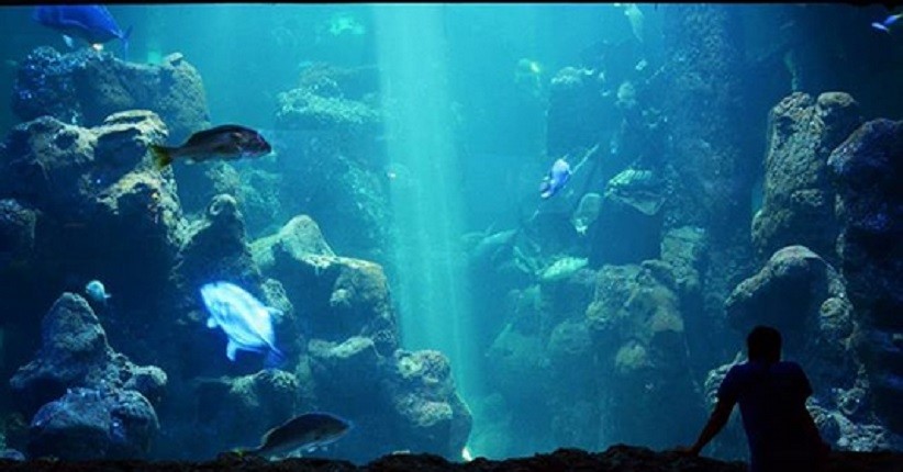 Libur Lebaran di Jakarta, Ini Rekomendasi Wisata Murah Meriah yang Hits