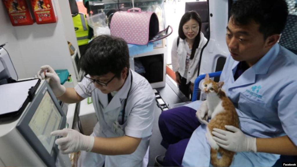 Uniknya Ambulans Khusus Hewan Peliharaan di Hong Kong