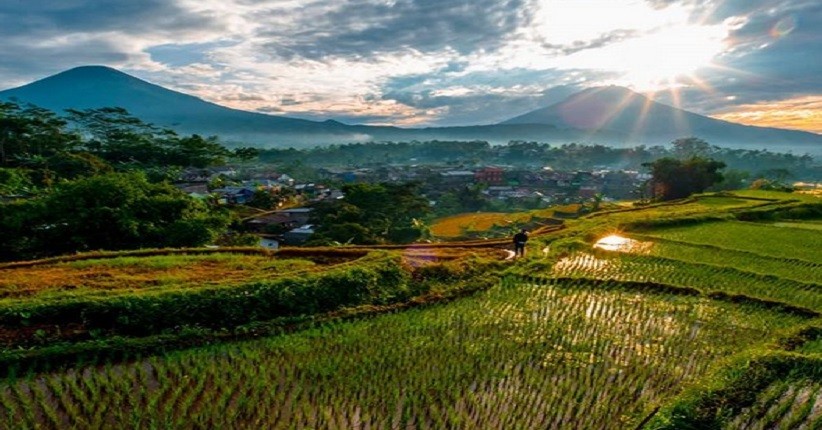 Mendaki Gunung Sindoro dan Sumbing sambil Menikmati Negeri di Atas Awan