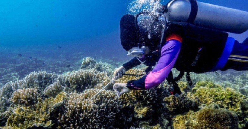 Kembangkan Homestay Berstandar Internasional, Pulau Pramuka Akan Diincar Wisman