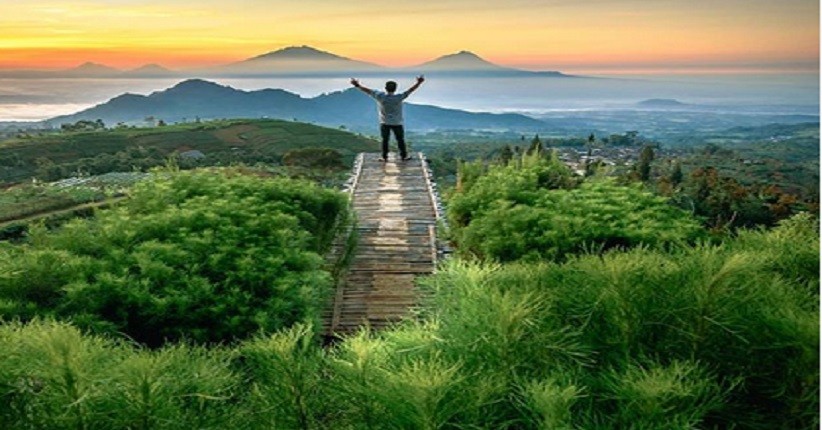 Indahnya Magelang dari Puncak Bukit Silancur, Awan Tipis Selimuti Perkebunan