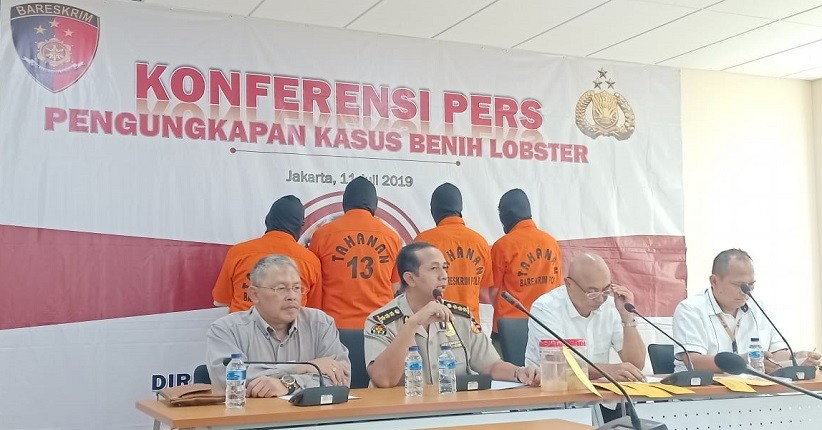 Polri Bongkar Penyelundupan 113.412 Benih Lobster Indonesia-Singapura