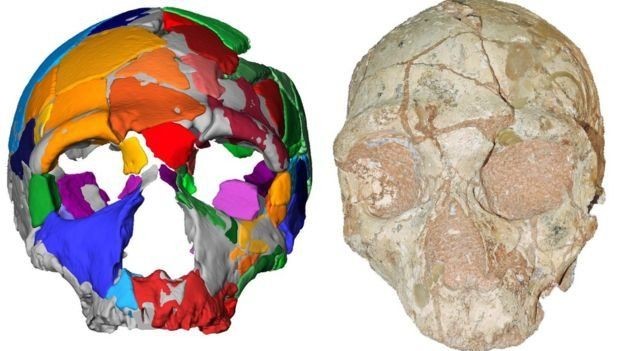 Homo Sapiens Paling Awal Ditemukan di Yunani, Diyakini Berusia 210.000 Tahun