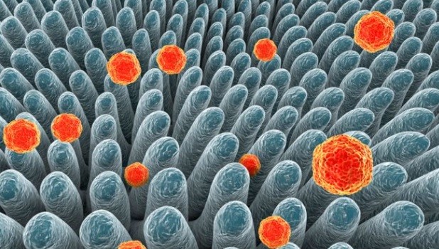 Wabah Hepatitis Serang Anak-Anak di Eropa dan Amerika, Asalnya Masih Misterius