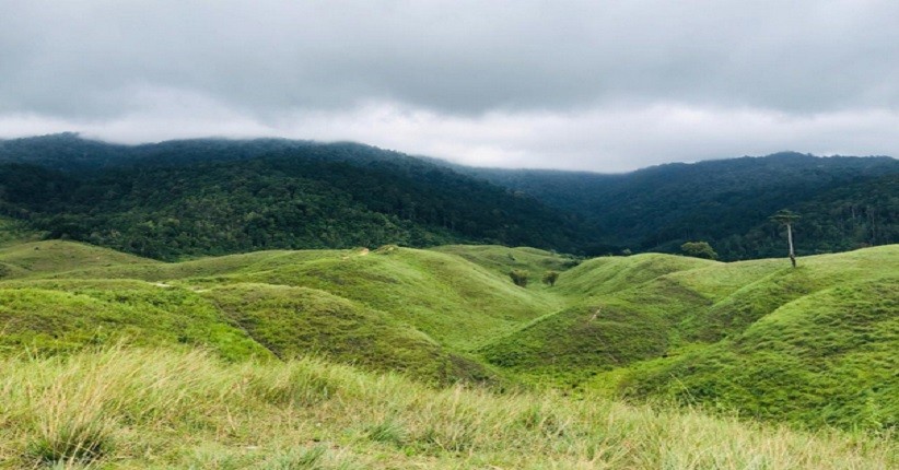 Indahnya Bukit Teletubies ala Luwuk, Hamparan Hijaunya Eksotis Bergelombang