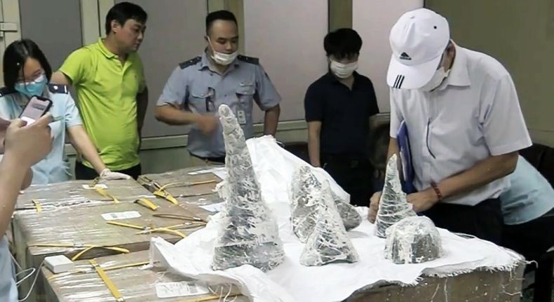 Setelah Bangkai Harimau, Cula Badak Senilai Rp103 M Diselundupkan ke Vietnam