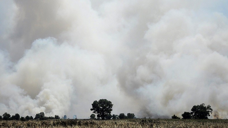 Polri Usut Keterlibatan Korporasi di Karhutla Sumatera dan Kalimantan