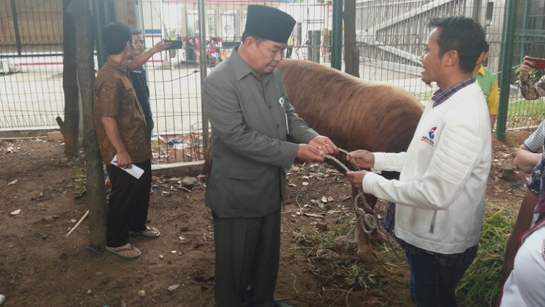 Partai Perindo Serahkan Hewan Kurban kepada Masjid Istiqlal