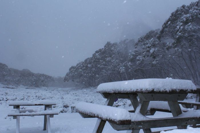 Cuaca Dingin Disertai Angin Kencang Terjang Australia, Warga Diminta Waspada