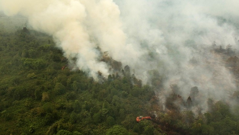 Kebakaran Hutan dan Lahan Picu Penderita ISPA di Sumsel Capai 274.502 Orang