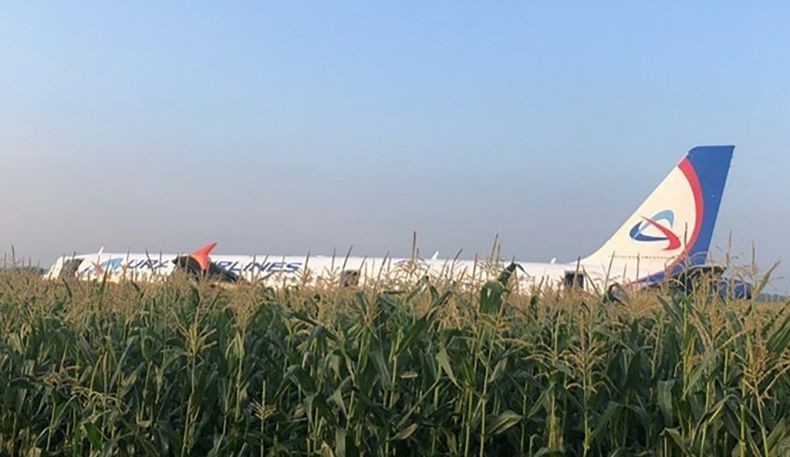 Pesawat Angkut 233 Penumpang Mendarat di Ladang Jagung, Pilot Rusia Tuai Pujian