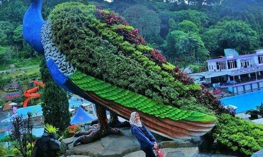 Menikmati Kebun Bunga di Taman Selecta, Objek Wisata Kota Batu Mirip di Belanda