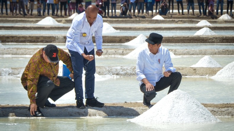 Demi Swasembada Garam, Jokowi Cek Kesiapan Lahan Tambak di NTT