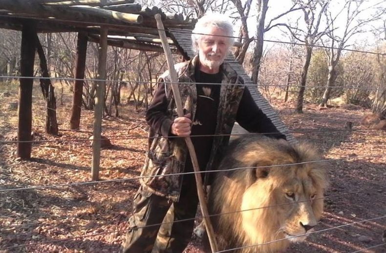 Pria 70 Tahun Tewas Diterkam Singa Peliharaan saat Perbaiki Pagar Kandang