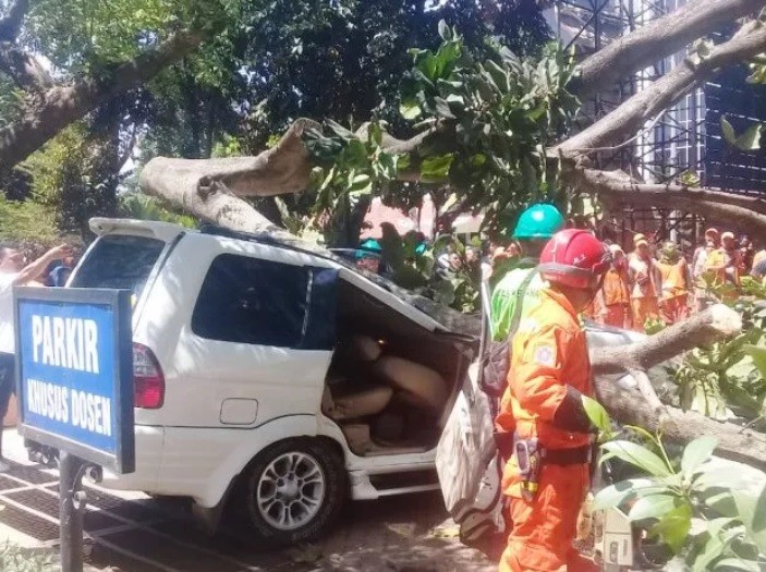 Satu Tewas Tertimpa Pohon di Universitas Pancasila, Ini Identitasnya