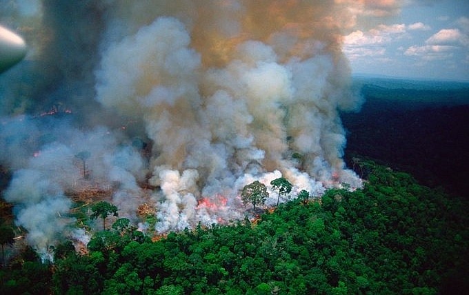 Kebakaran Dahsyat di Amazon, PBB: Hutan Itu Harus Dilindungi!