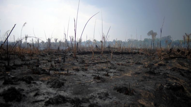 Pesawat Ringan Jatuh di Hutan Amazon Brasil, 14 Orang Tewas