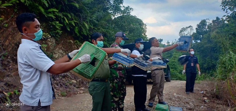 TNI Amankan 215 Ekor Burung Kacer Ilegal Bernilai Puluhan Juta di Kalbar