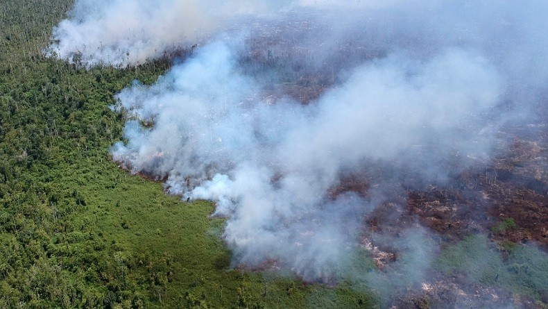 BMKG Identifikasi Ribuan Titik Panas di Indonesia dan Beberapa Negara ASEAN