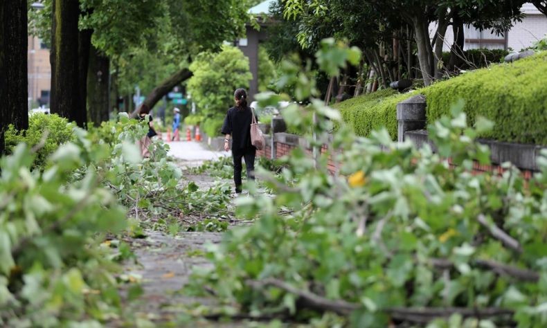 Hantaman Topan Faxai Tewaskan 3 Orang di Jepang, 40 Lainnya Luka