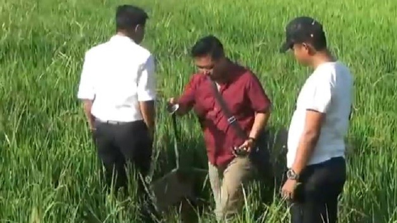 Mayat Pria Pakai Bra Ditemukan di Sawah Desa Kepanjen, Diduga Korban Pembunuhan