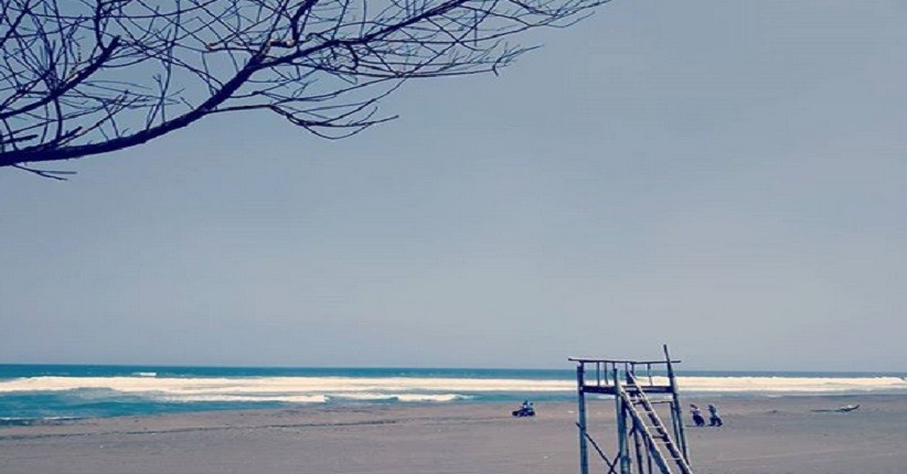 Wisata Yogya, Asyiknya ke Pantai Cemara Sewu Ada Lorong Pepohonan Instagramable
