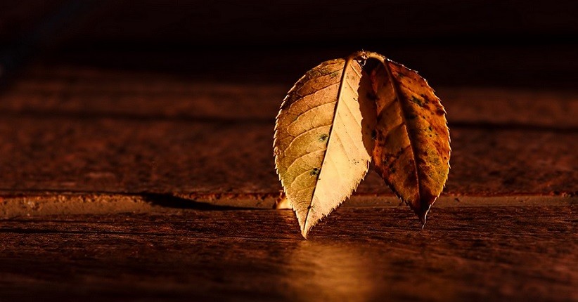 9 Oktober 2019, Jakarta Akan Alami Hari Tanpa Bayangan