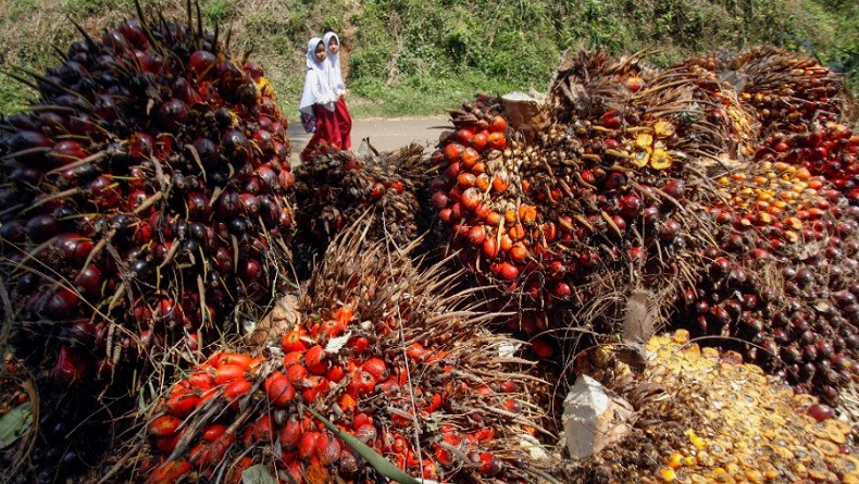 Pengusaha Kelapa Sawit RI Mau Impor Serangga dari Afrika, Buat Apa?