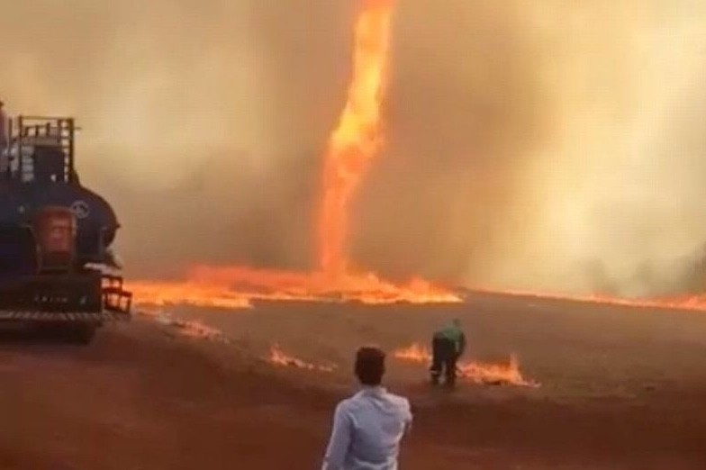Fenomena Alam Mengerikan, Tornado Api Lalap Lahan Pertanian di Brasil