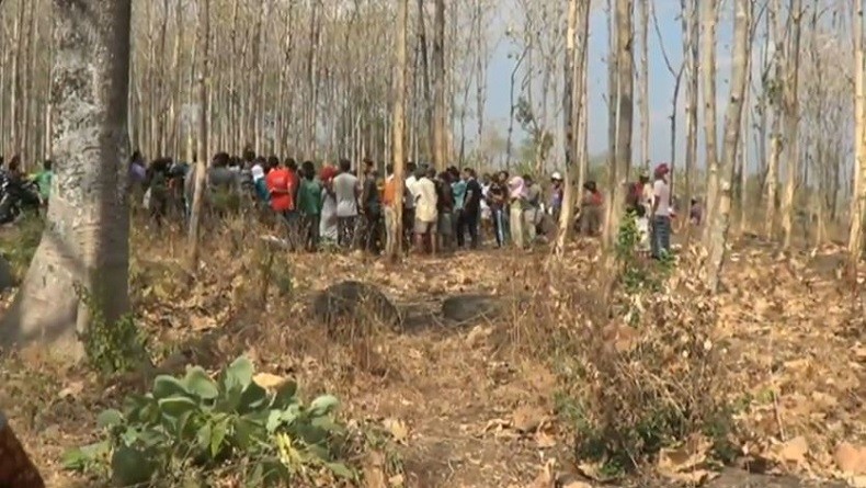 Mayat Pria dengan Tangan, Kaki dan Leher Diikat Ditemukan di Hutan Jati Pasuruan