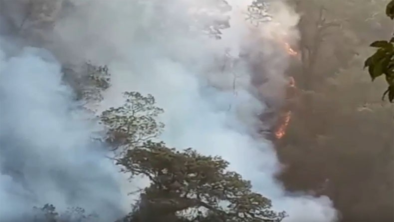 Hutan Gunung Slamet Masih Membara, Tim Gabungan Kewalahan Padamkan Api