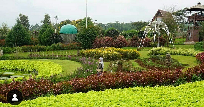 Weekend Wisata di Bogor, Asyiknya Selfie di Taman Bunga Camp Hulu Cai