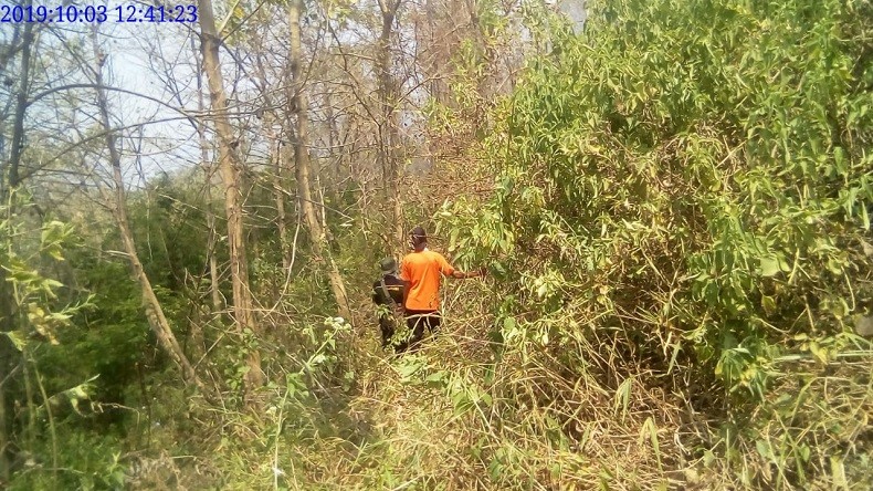 75 Personel Berhasil Padamkan Kebakaran Hutan Gunung Welirang di Mojokerto Jatim