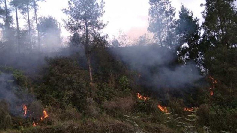 Kebakaran di Lereng Gunung Merapi, 100 Personel Dikerahkan untuk Pemadaman