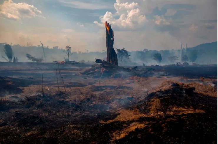 Kebakaran Amazon: Lukisan Batu Kuno Terancam, Paus Fransiskus Minta Pastor Lindungi Hutan
