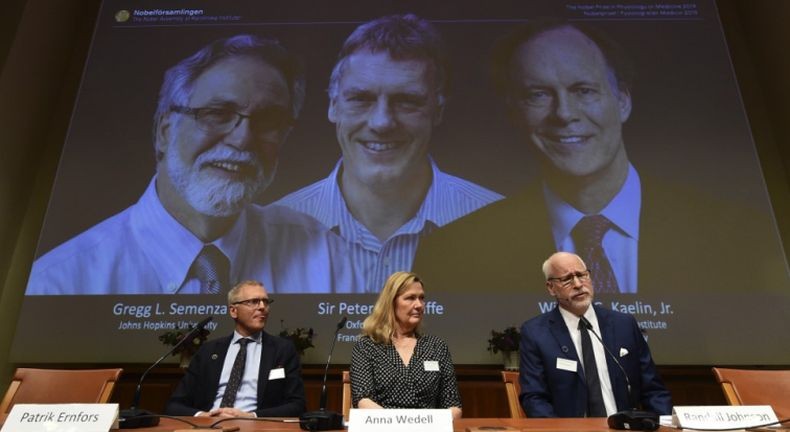 3 Pria Ini Raih Hadiah Nobel Kedokteran 2019 Setelah Meneliti Oksigen di Tubuh Manusia